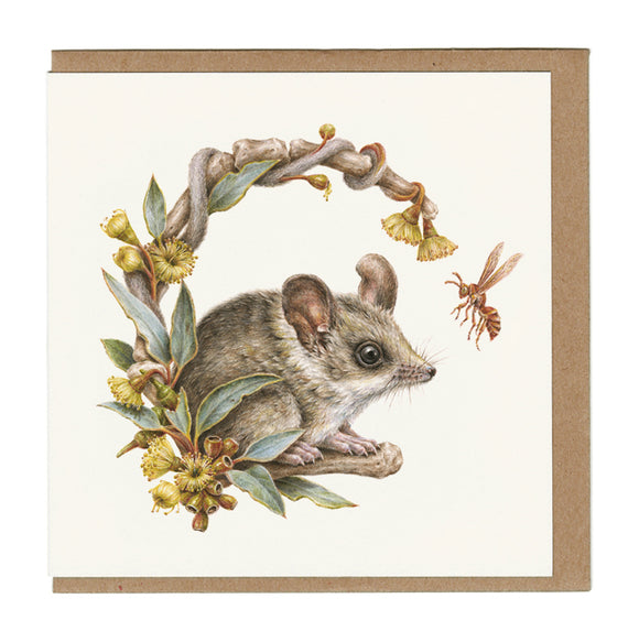 Dunnart Courtney Brims Greeting Cards | Queensland Sustainable Market
