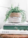 Mini Pot Plant Cover (Basketweave Reversible Hessian) | Queensland Sustainable Market